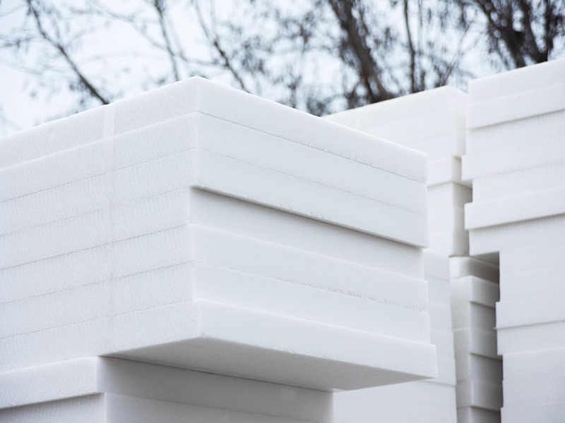 微信圖片_20231207181926